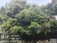 -成都市活水公园