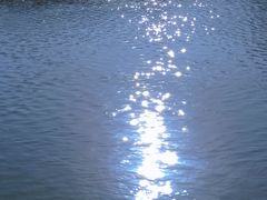 -茶百道(新城市广场店)