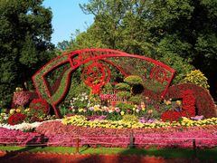 -上海共青森林公园