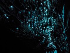 -怀托摩萤火虫洞