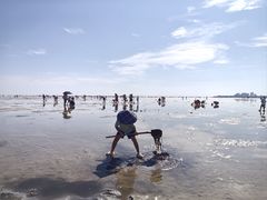 -红树林天天赶海
