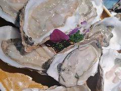 -阿古蒙·传统涮火锅自助(三台子万象汇店)