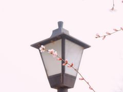 -三里河公园