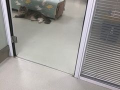 -美美宠物诊疗中心·异宠·骨科(滨江东信分院)