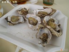 生蚝-海岛渔村大酒店(云霄路店)