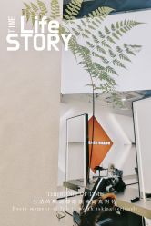 -FINE HAIR 烫染专业设计