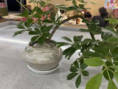 -海底捞火锅(旭辉MALL店)