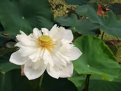 -重元寺