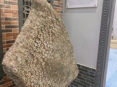 -游龙石文化科普馆