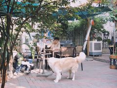 -豆舞咖啡(民乐路店)