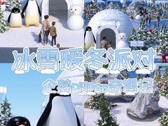 -汕头中海黄金海岸水上乐园