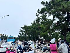 -养马岛旅游度假区