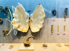 -国家自然博物馆