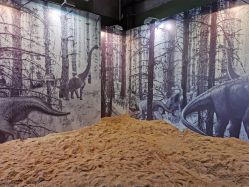 -恐龙探索乐园(磁器口店)