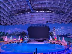 -海合安武汉极地海洋公园