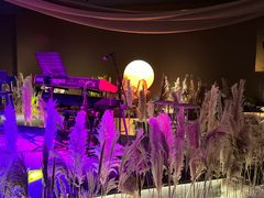 -ohbar live house(人广店)