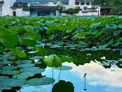 -呈坎景区