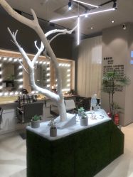 -眉毛先生MrBrow修眉染眉化妆