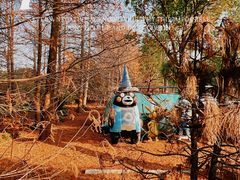 -上海海湾国家森林公园