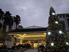 -厦门艾美酒店·乐美中餐厅