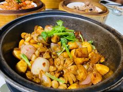 生嗜生肠-泮金大塘(北二七路店)