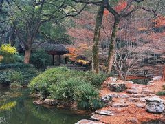 -杭州植物园