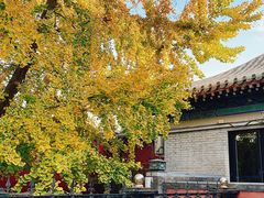 -北京石刻艺术博物馆(五塔寺)