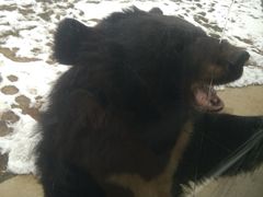 -西安秦岭野生动物园