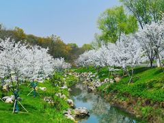 -羊山湖公园