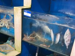 -鹰龙海畔度假酒店(咸祥店)