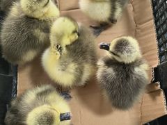 -北仑森林植物园