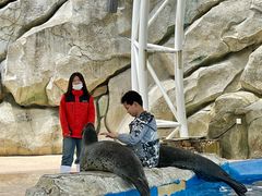 -芜湖新华联大白鲸海洋公园