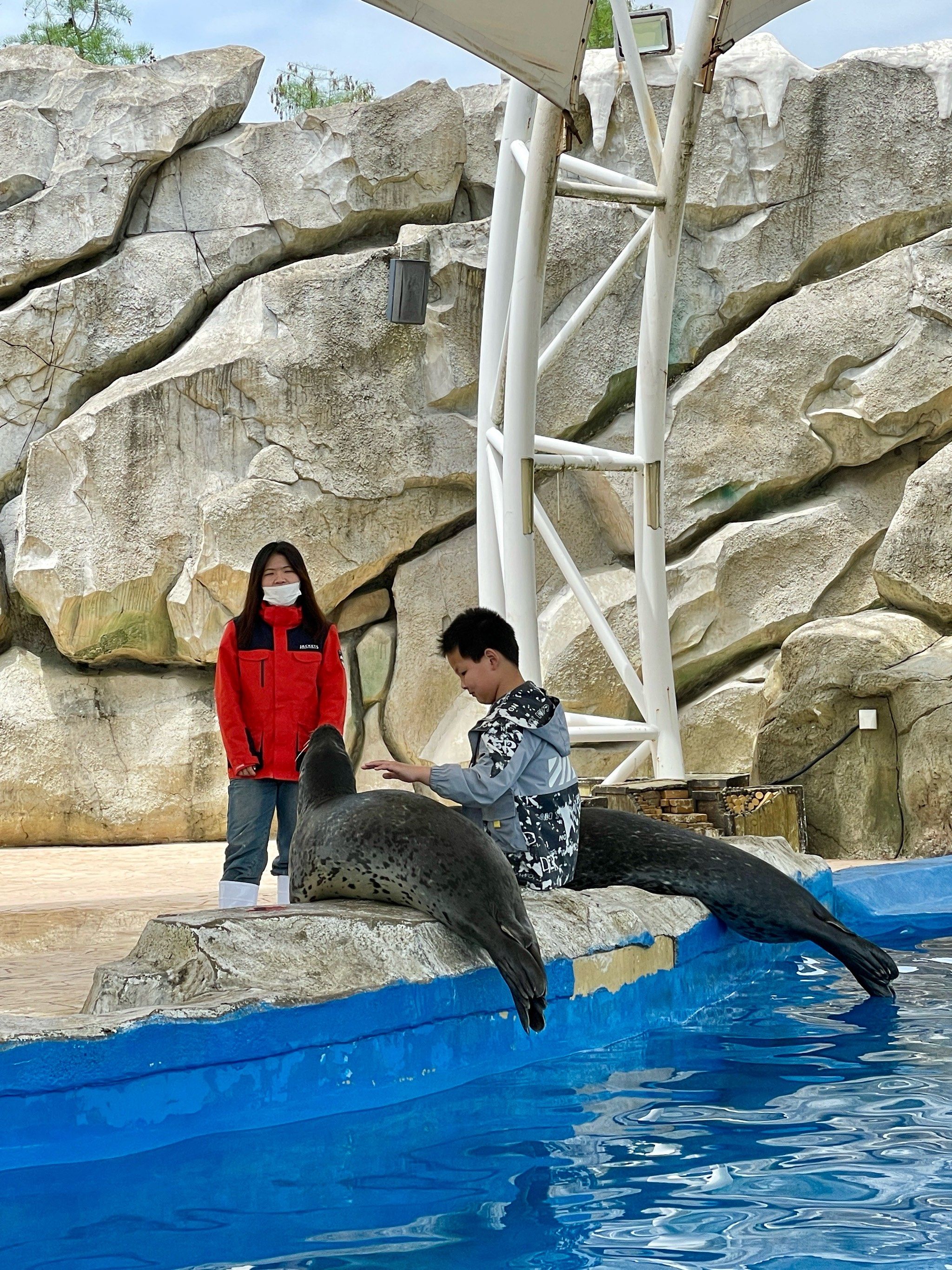 芜湖大白鲸海洋公园游玩攻略!速98住!73