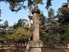 -沈阳市东陵公园