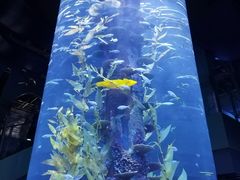 -广州海洋馆