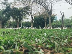 -万绿园