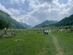 -狮子沟牧场