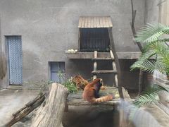 -西安秦岭野生动物园