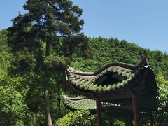 -黔灵山公园