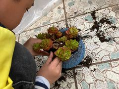 -铁山坪森林公园