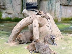 -杭州野生动物世界