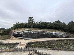 -三水森林公园