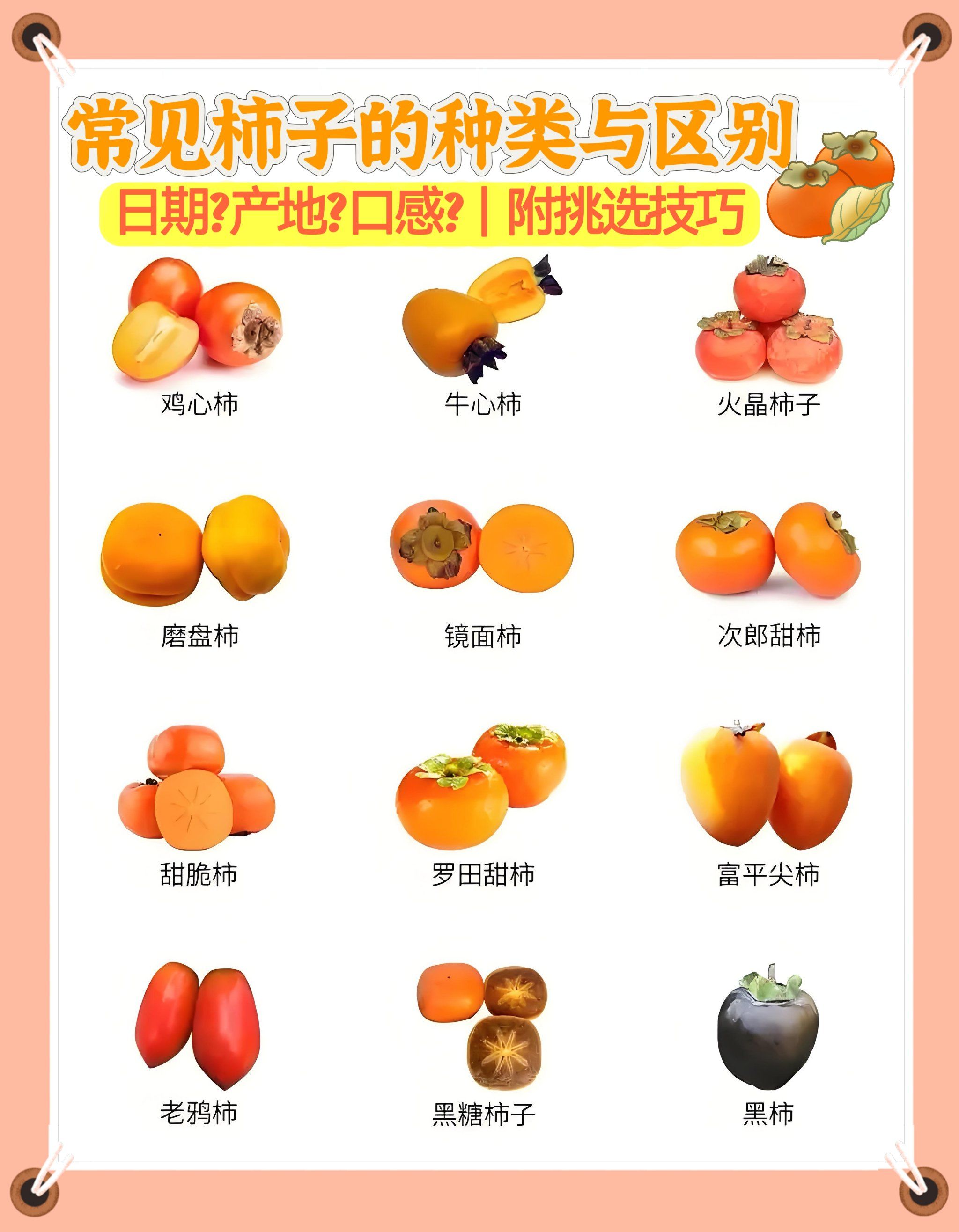 我国是全世界柿子最多的国家,也是吃柿子最多的国家,所以柿子品种是