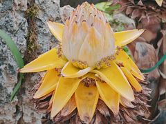 -北京植物园-展览温室