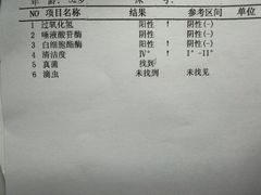 -腾冲洞山温泉村