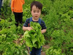 -婴智贝佳蒙特梭利早教托育中心(杨浦店)
