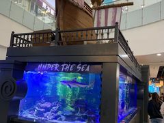 -凯德广场(学府店)