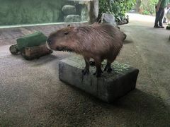-河川生态园