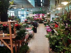 -双季花艺园艺市场(浦东店)
