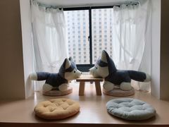 -Husky Go! 哈士奇体验馆·宠物咖啡厅狗咖